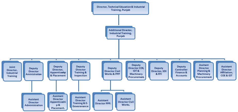 Organization Structure